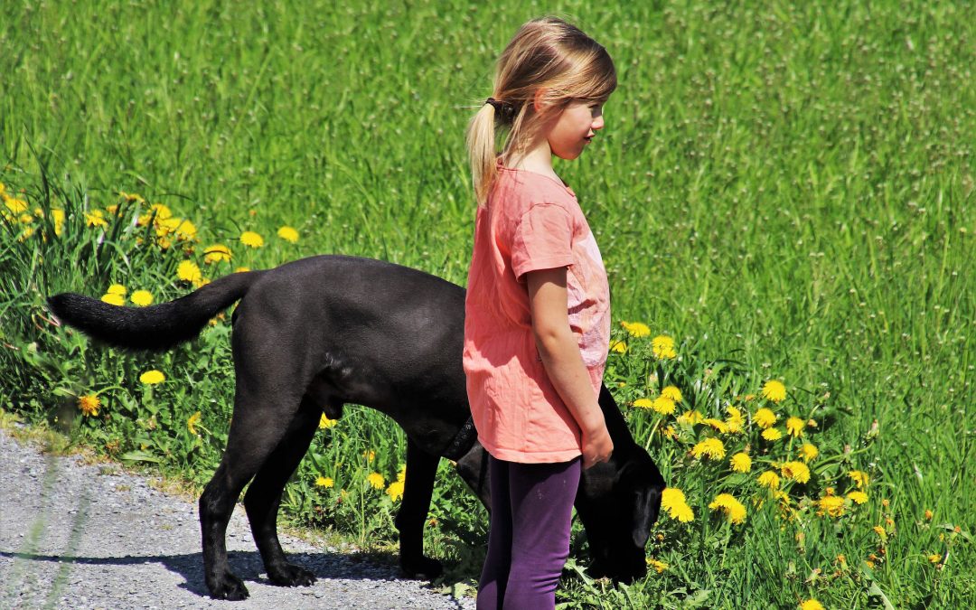 Family dog service for children with autism