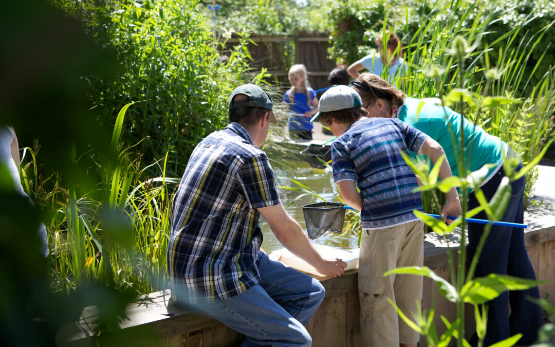 Slimbridge Wetlands SEND-Friendly Spring Events